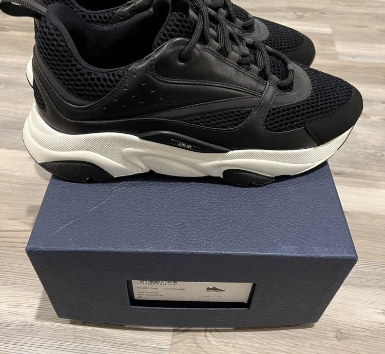 Dior B22 Sneaker
