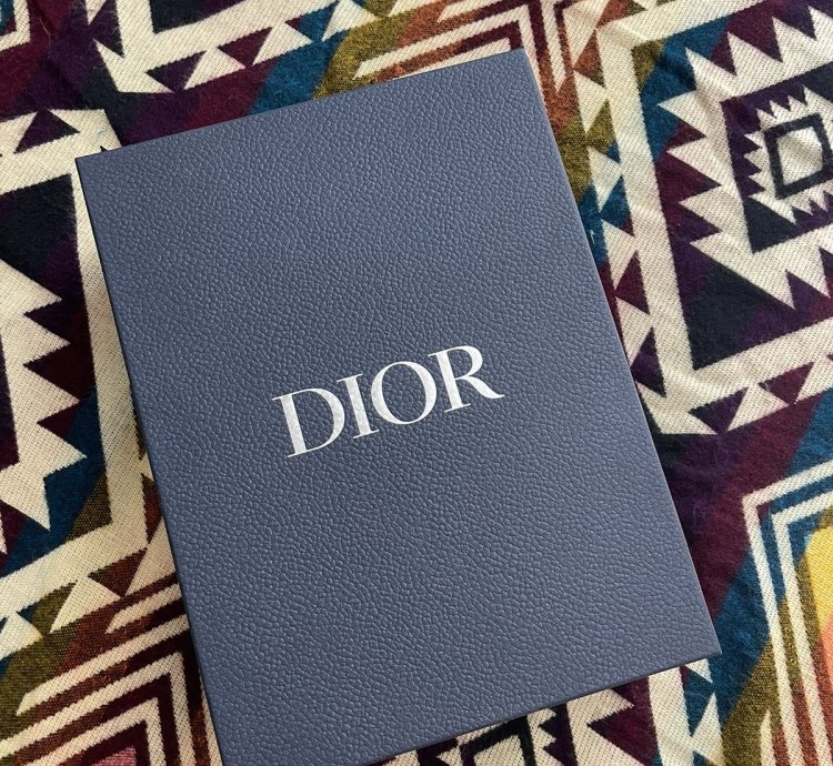 Dior B22 Sneaker