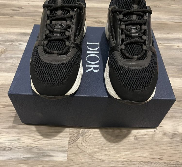 Dior B22 Sneaker