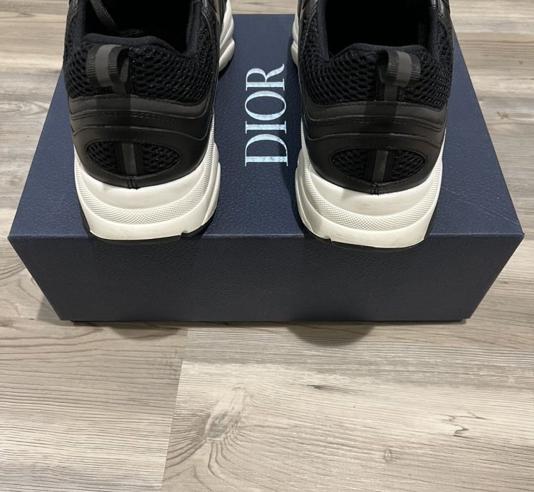 Dior B22 Sneaker