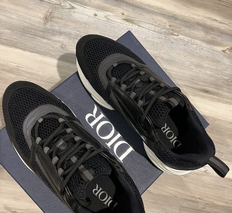 Dior B22 Sneaker