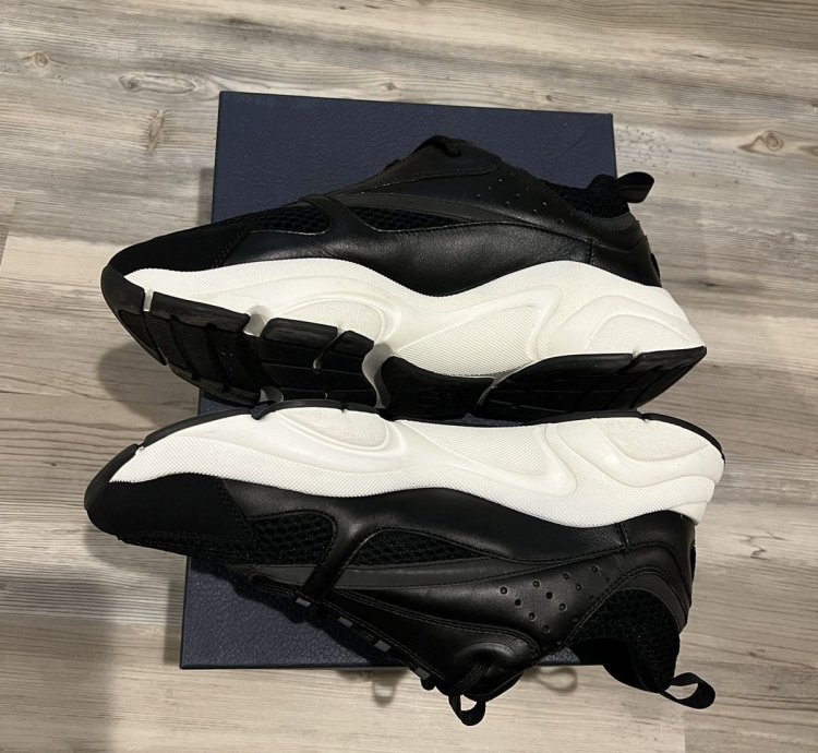 Dior B22 Sneaker