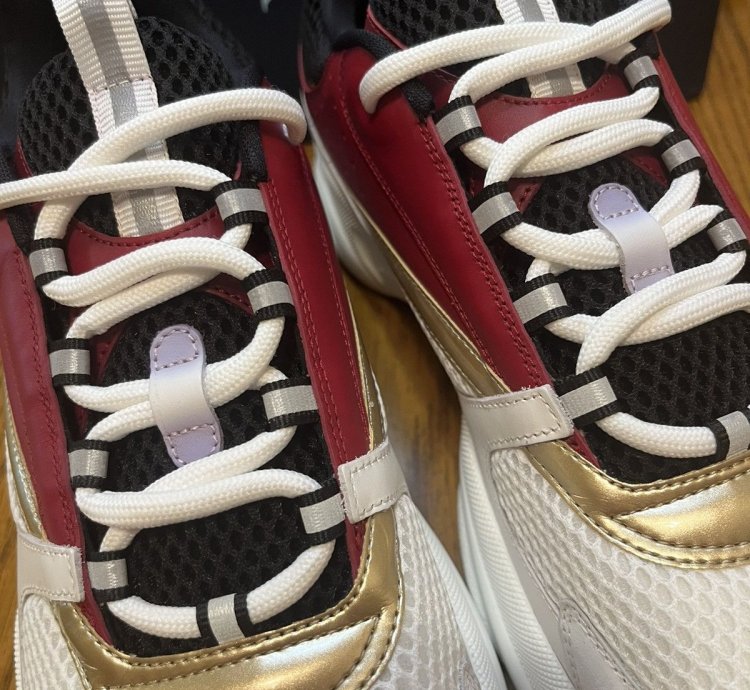 Dior B22 Sneaker white Burgundy