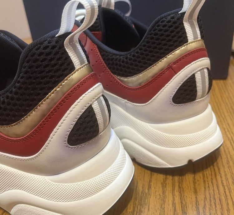 Dior B22 Sneaker white Burgundy
