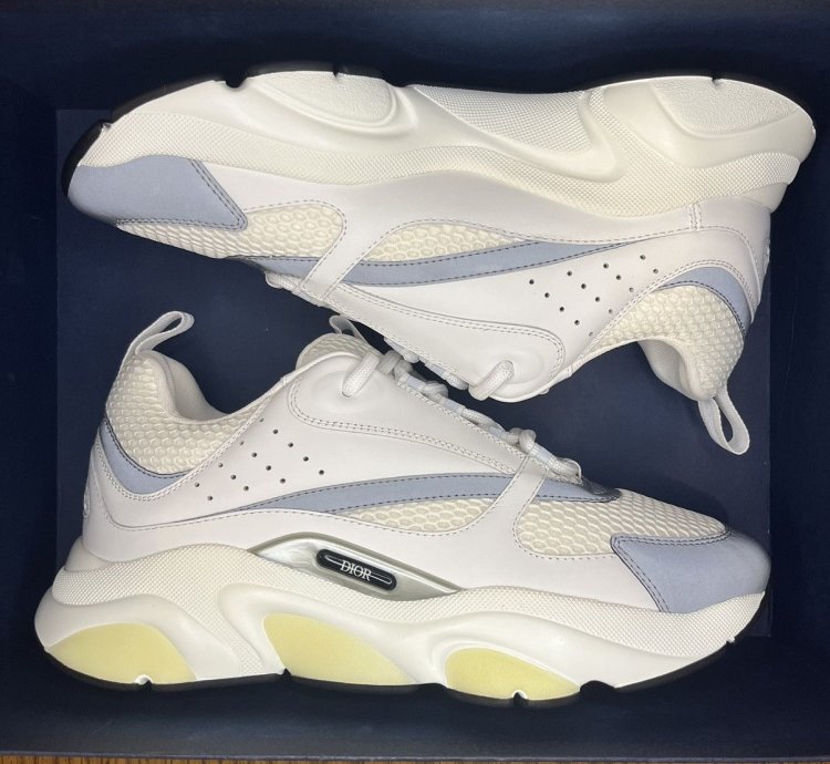 Dior B22 Sneaker white Grey