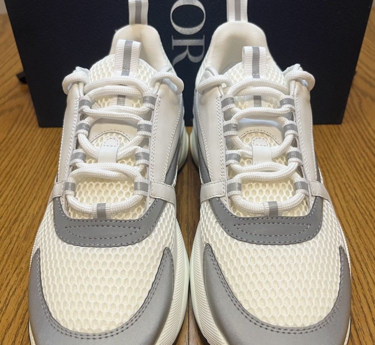 Dior B22 Sneaker white Grey