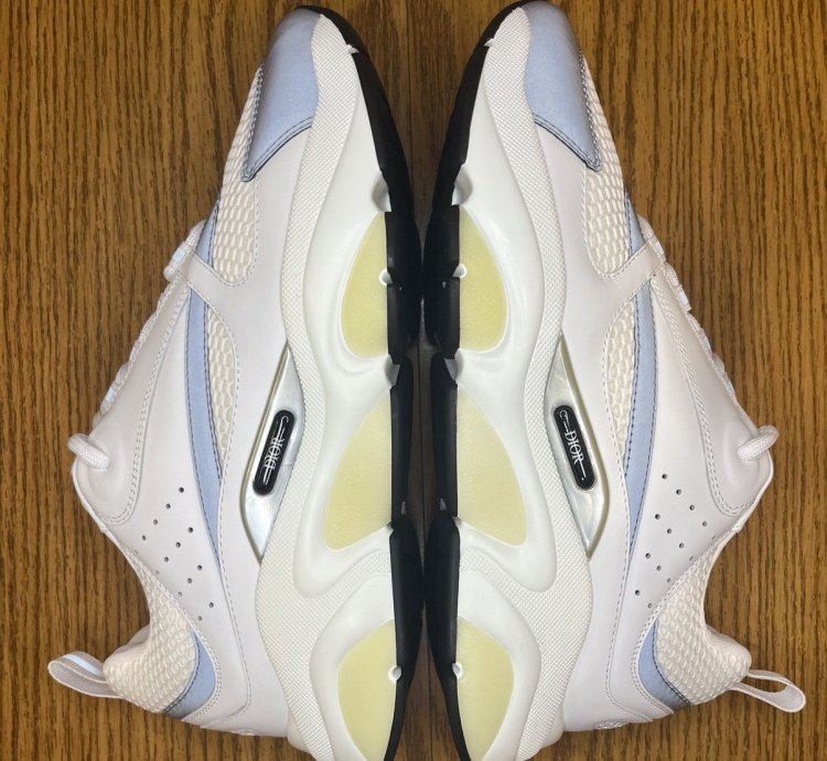 Dior B22 Sneaker white Grey