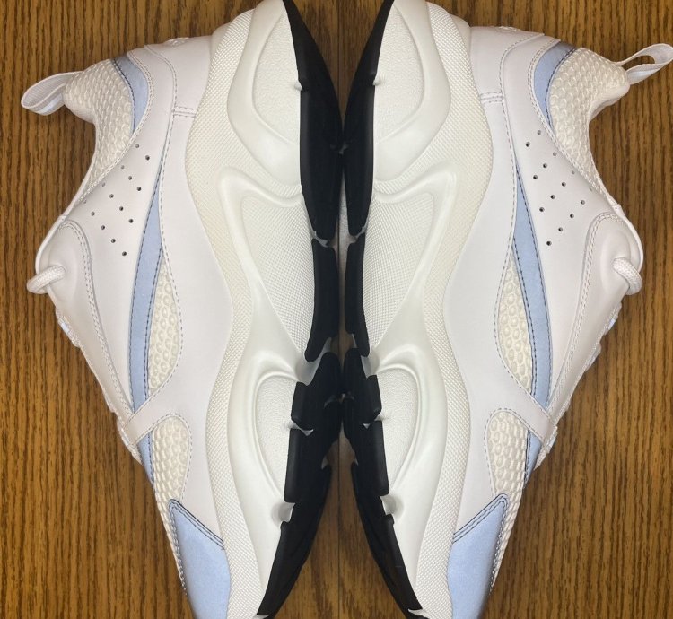 Dior B22 Sneaker white Grey