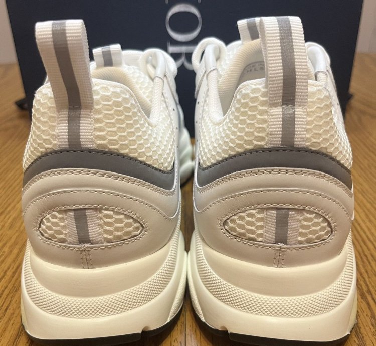 Dior B22 Sneaker white Grey