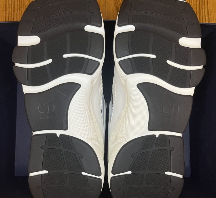 Dior B22 Sneaker white Grey