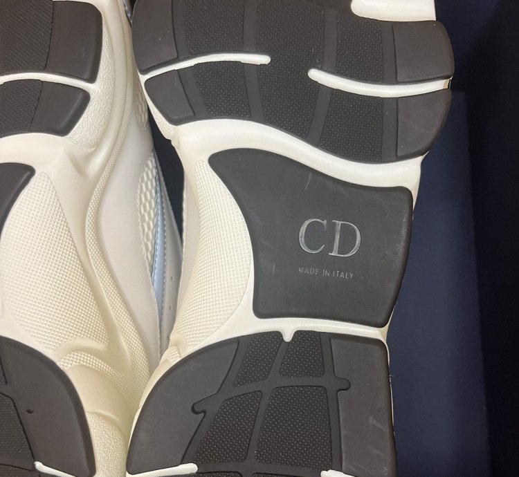 Dior B22 Sneaker white Grey