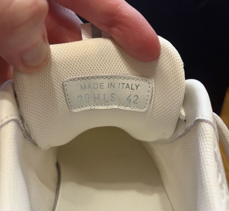 Dior B22 Sneaker white Grey