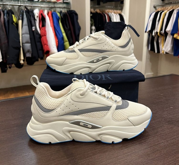 Dior B22 Sneaker -white