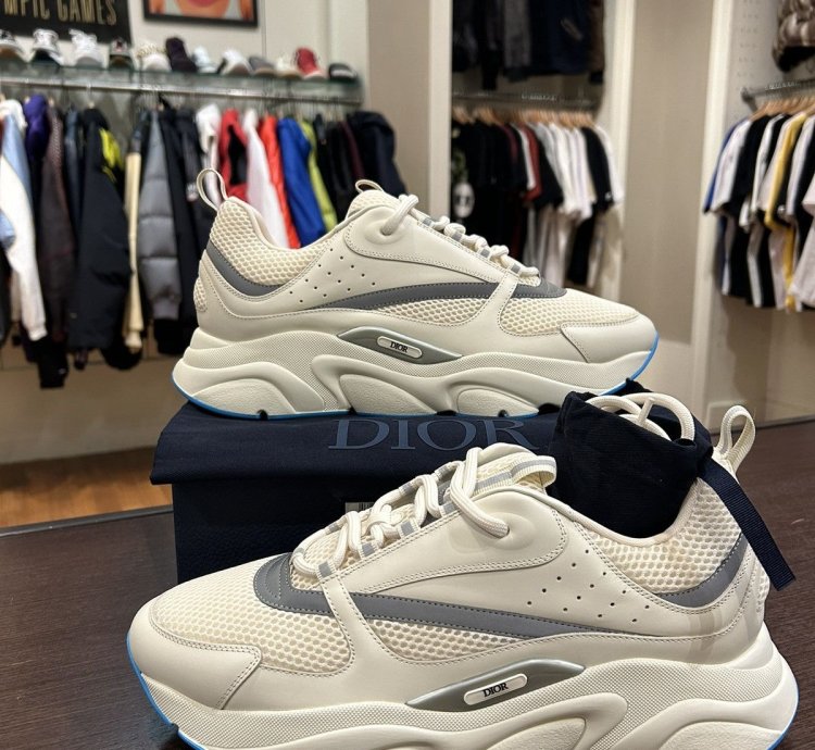 Dior B22 Sneaker -white