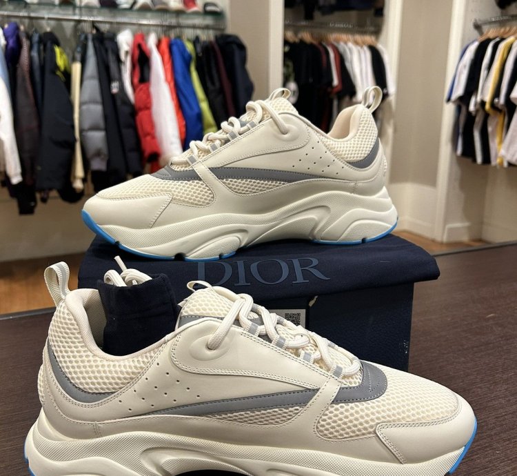 Dior B22 Sneaker -white