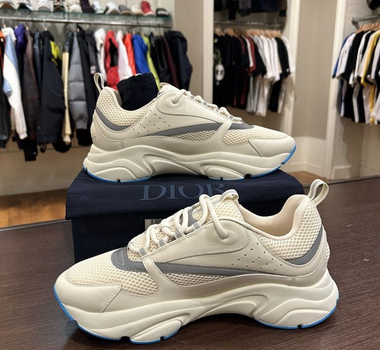 Dior B22 Sneaker -white
