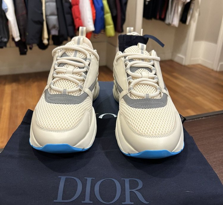 Dior B22 Sneaker -white