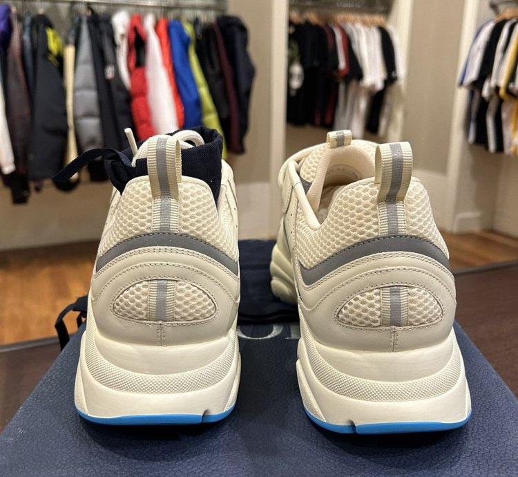 Dior B22 Sneaker -white