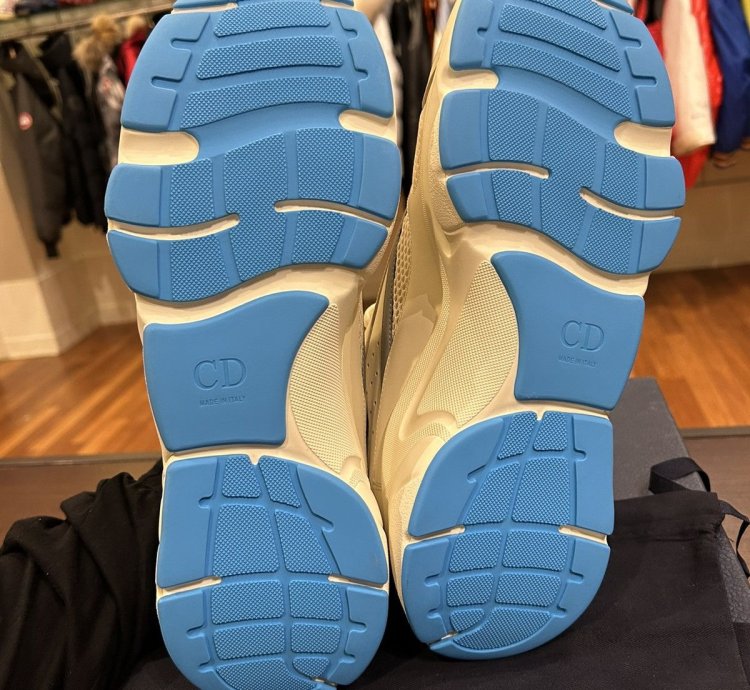 Dior B22 Sneaker -white