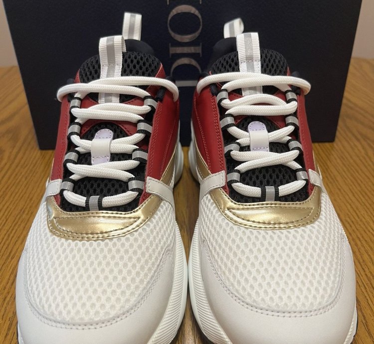Dior B22 Sneaker Burgundy Gold