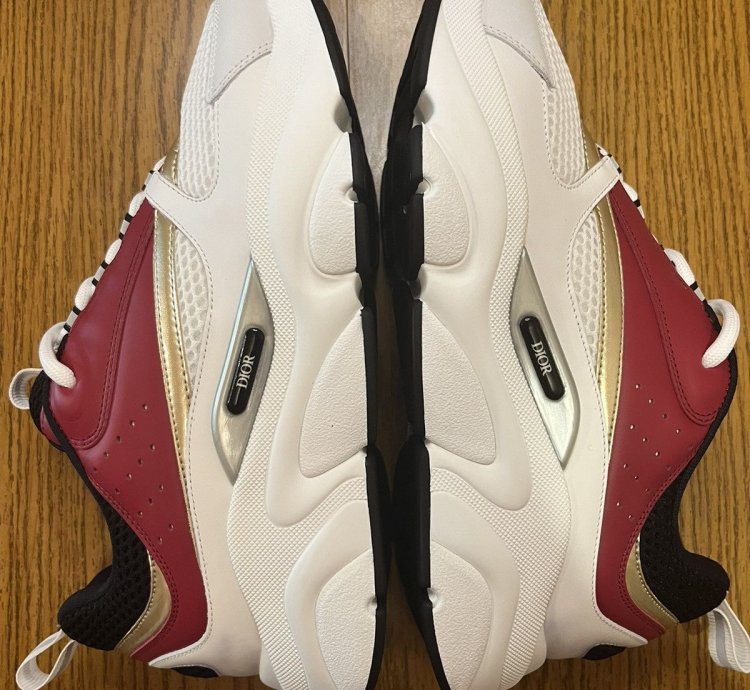 Dior B22 Sneaker Burgundy Gold