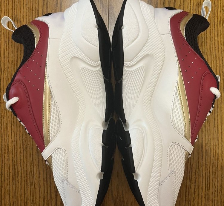 Dior B22 Sneaker Burgundy Gold