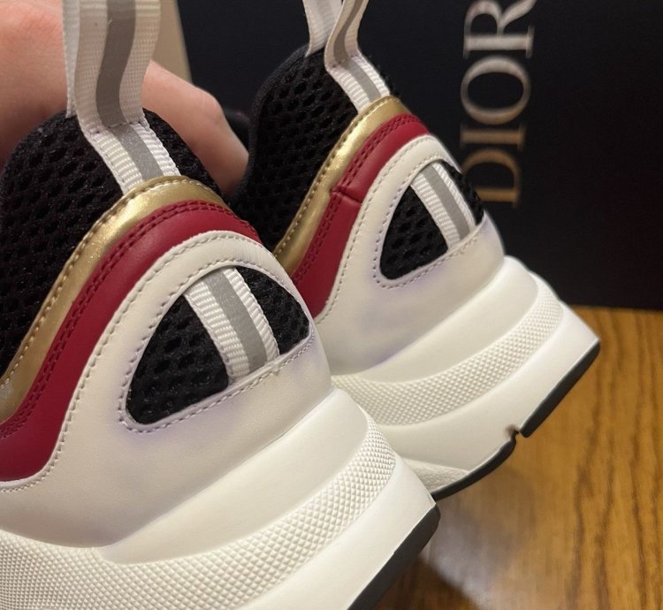 Dior B22 Sneaker Burgundy Gold