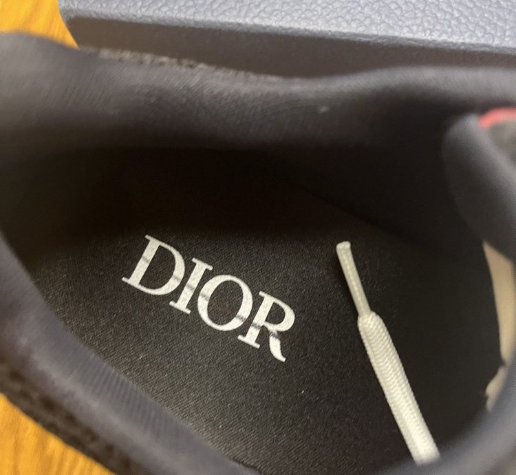 Dior B22 Sneaker Burgundy Gold