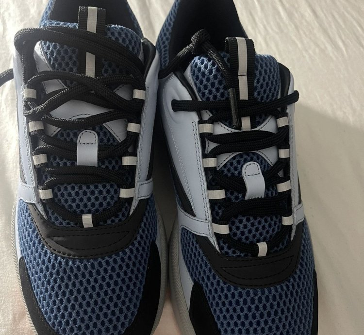 Dior B22 Sneaker Ice Blue
