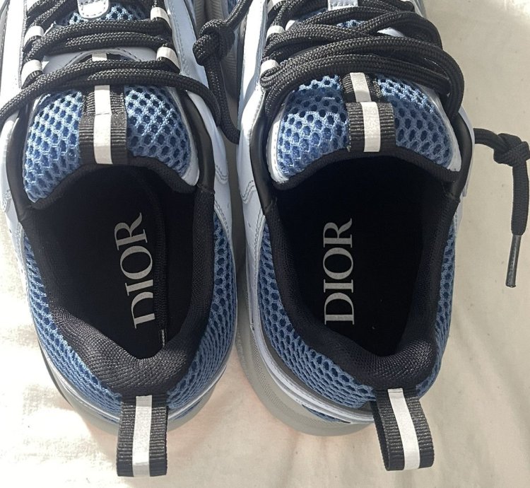 Dior B22 Sneaker Ice Blue