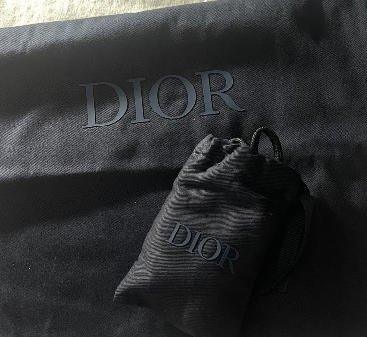 Dior B22 Sneaker Ice Blue