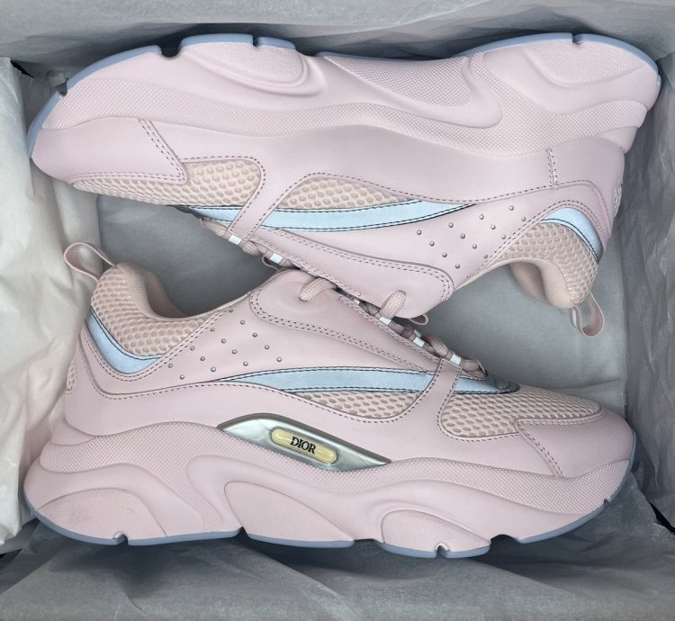 Dior B22 Sneaker Pink