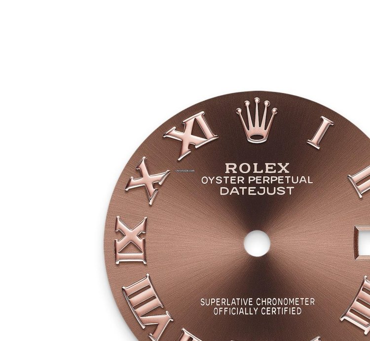 Rolex Datejust 31 Chocolate Roman President 278275-0025 Unworn 2024