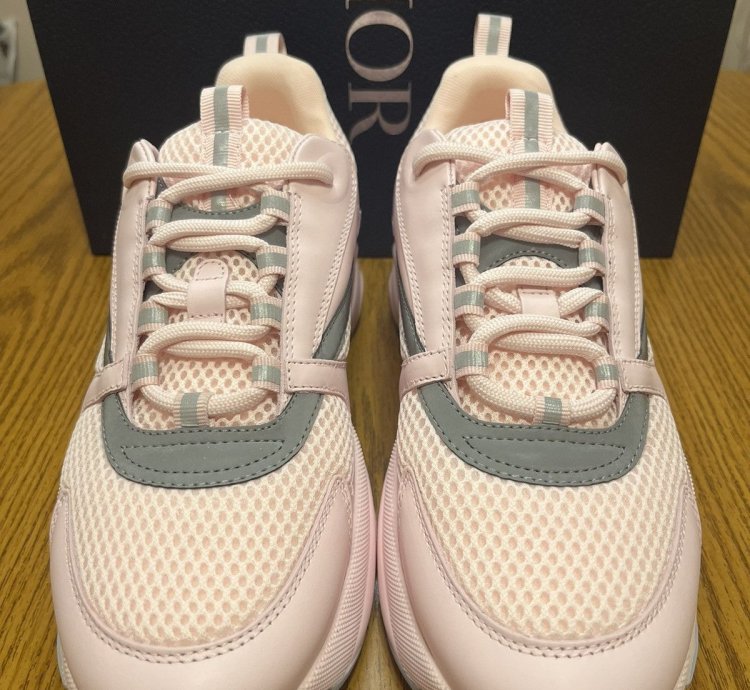 Dior B22 Sneaker Pink