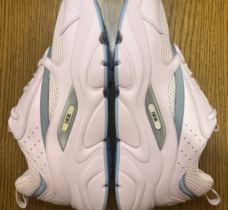 Dior B22 Sneaker Pink