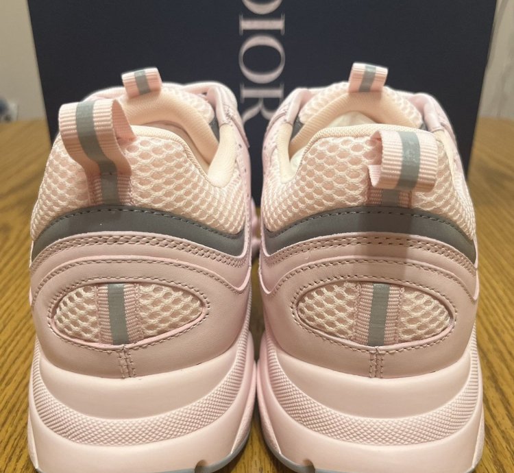 Dior B22 Sneaker Pink