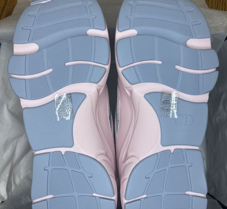 Dior B22 Sneaker Pink