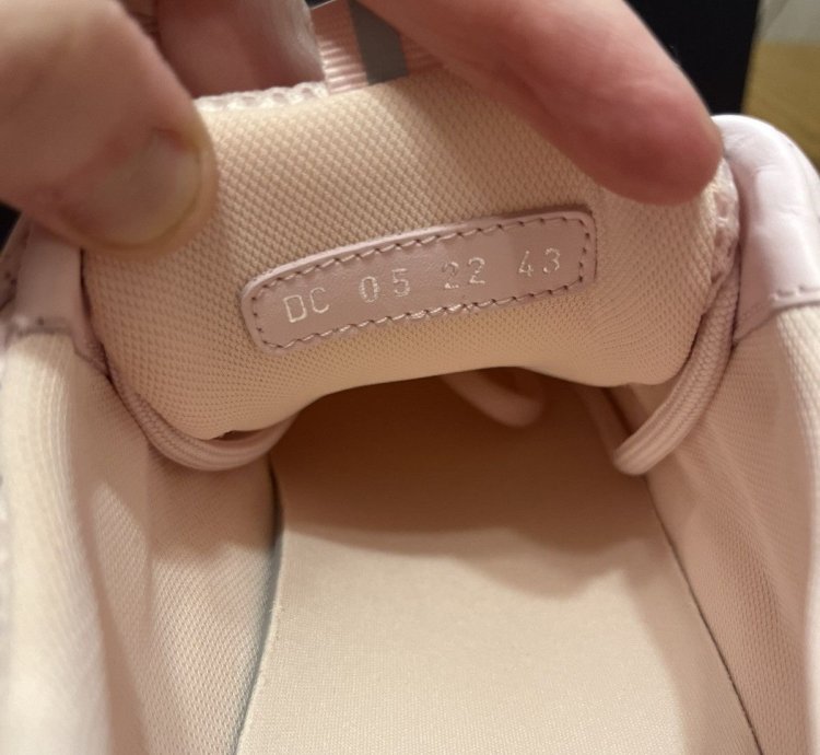 Dior B22 Sneaker Pink