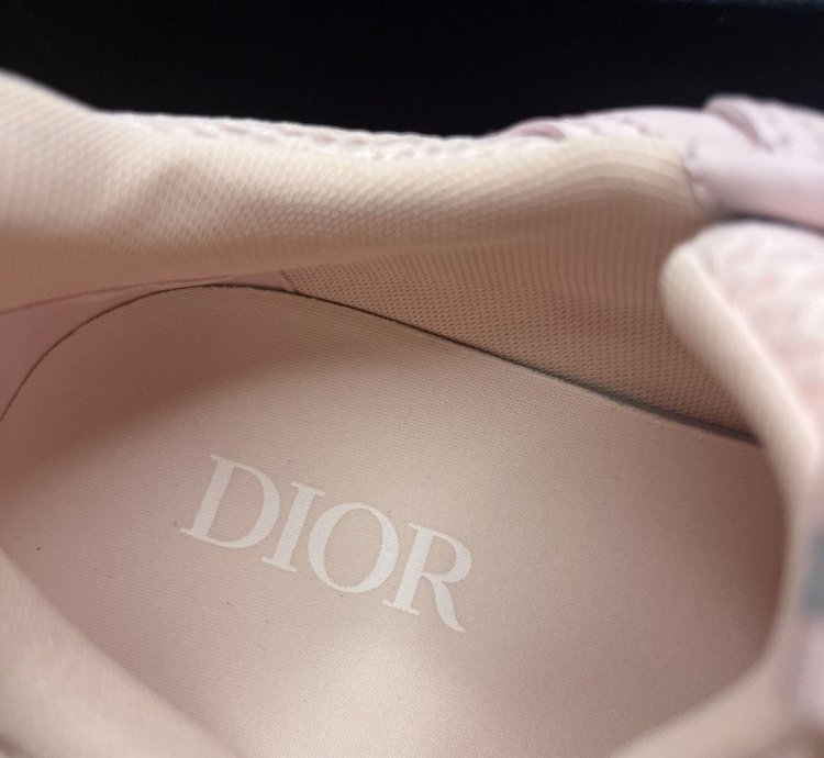 Dior B22 Sneaker Pink