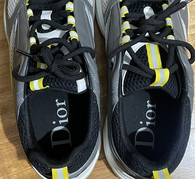 Dior B22 Sneaker Trainer