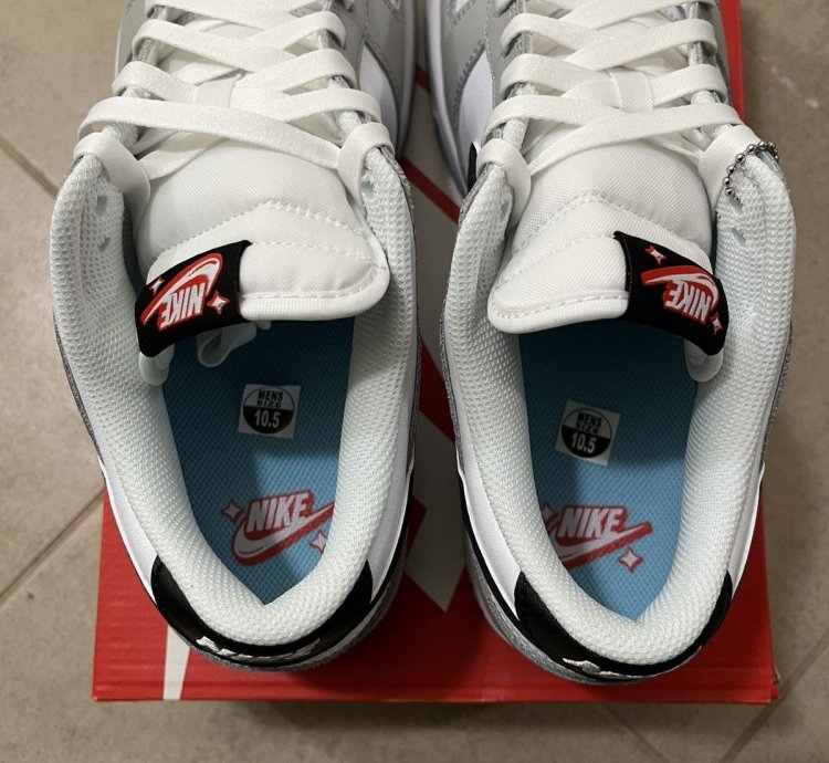 Nike Dunk Low Lottery Pack