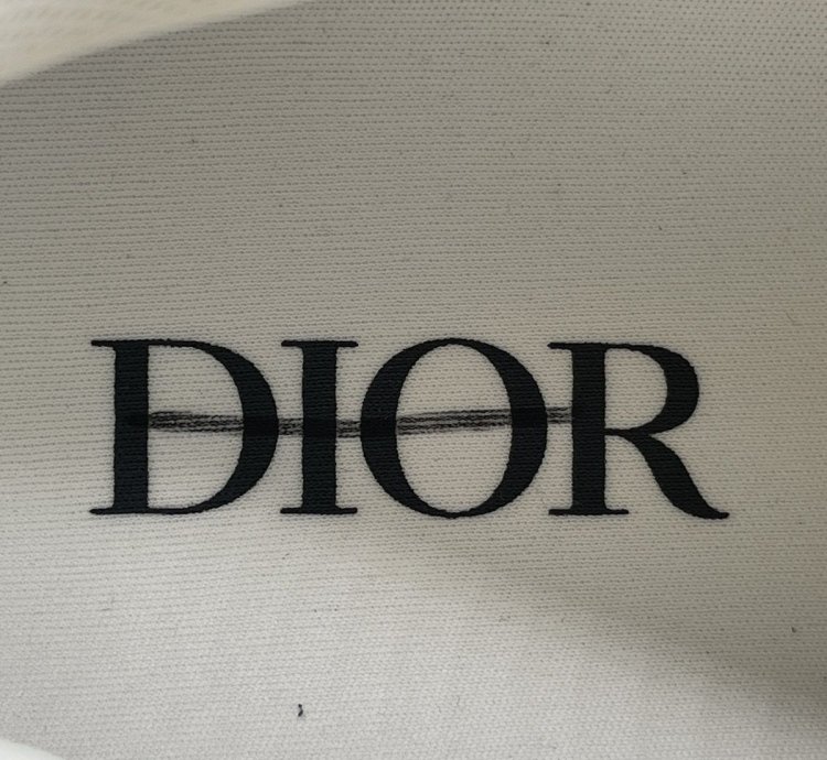 Dior B22 Sneakers