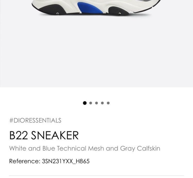 Dior B22 Sneakers
