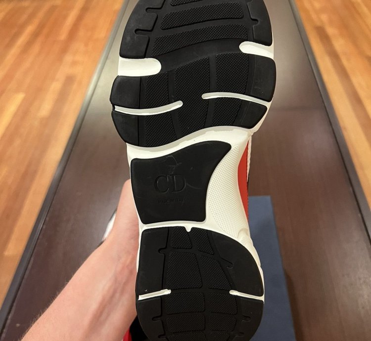 Dior B22 Sneakers Brand New
