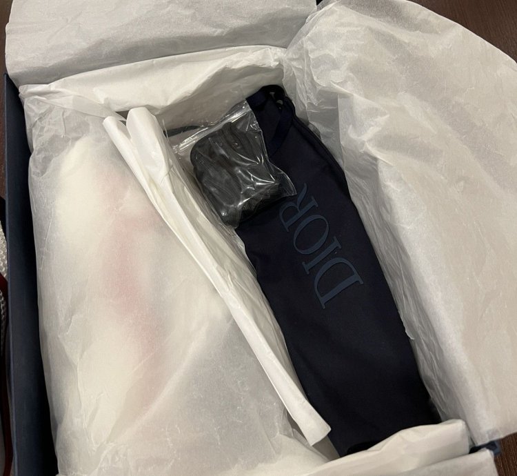 Dior B22 Sneakers Brand New