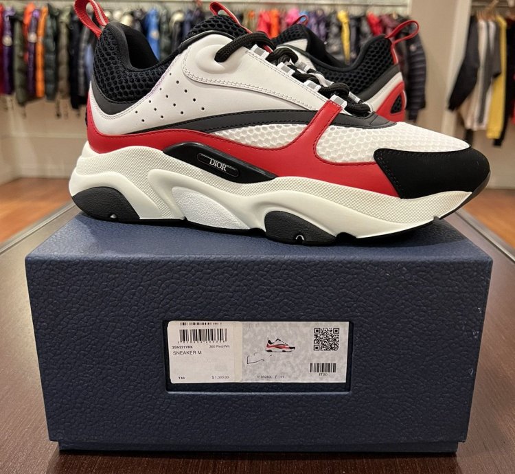 Dior B22 Sneakers Brand New