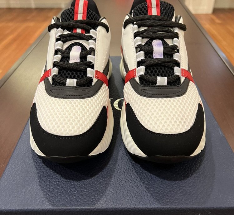 Dior B22 Sneakers Brand New