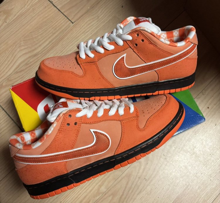 Nike Dunk Low Sb Orange Lobster