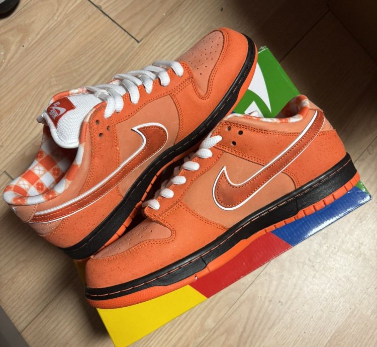 Nike Dunk Low Sb Orange Lobster