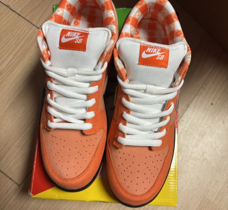 Nike Dunk Low Sb Orange Lobster